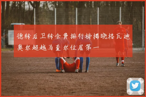 德转后卫转会费排行榜揭晓格瓦迪奥尔超越马奎尔位居第一