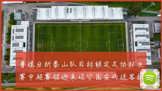 鲁媒分析泰山队目标锁定足协杯决赛中超赛程迎来辽宁国安两连客挑战